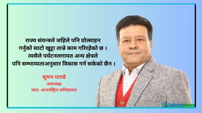  सरकारले निजी क्षेत्रलाई केही दिनु पर्दैन, काम गर्न दिए पुग्छ 